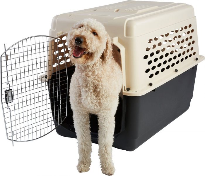 Plastic Dog & Cat Kennel, Almond & Black