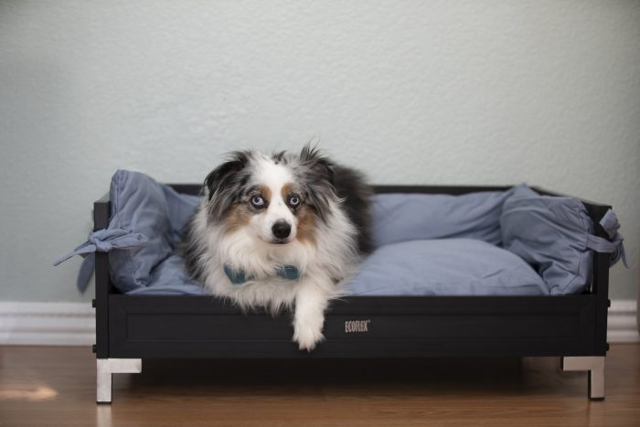 ecoFLEX Manhattan Raised Dog & Cat Bed with Cushion - Image 2