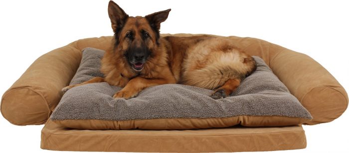 Ortho Sleeper Comfort Personalized Sofa Dog Bed - Image 2