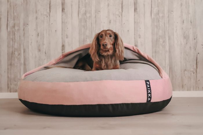 Recovery Burrow Orthopedic Covered Dog Bed