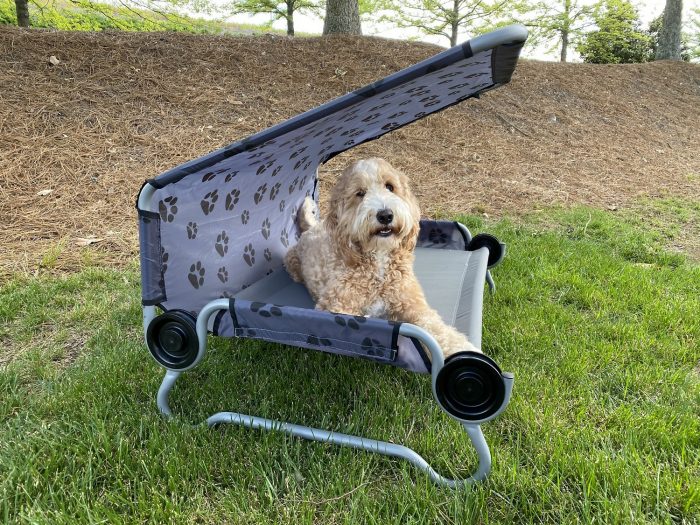 Elevated Covered Dog Bed