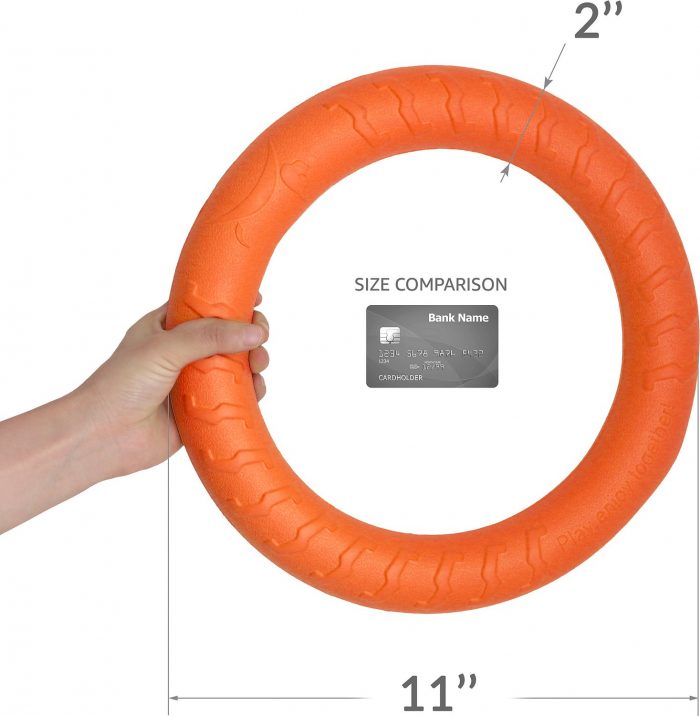 Fitness Ring Dog Toy - Image 2