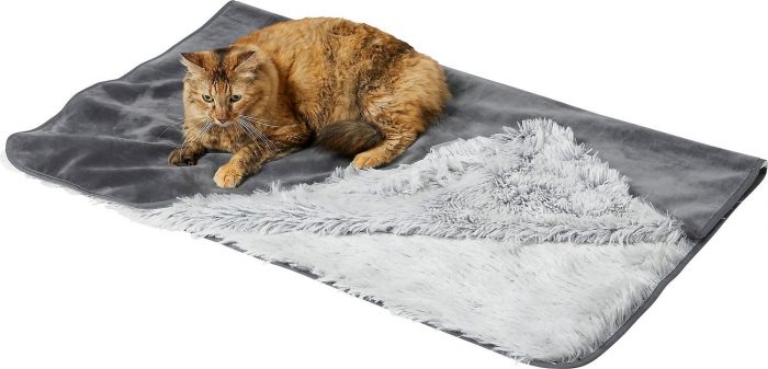 Sofa Bed with Removable Cover + Eyelash Cat & Dog Blanket - Image 3