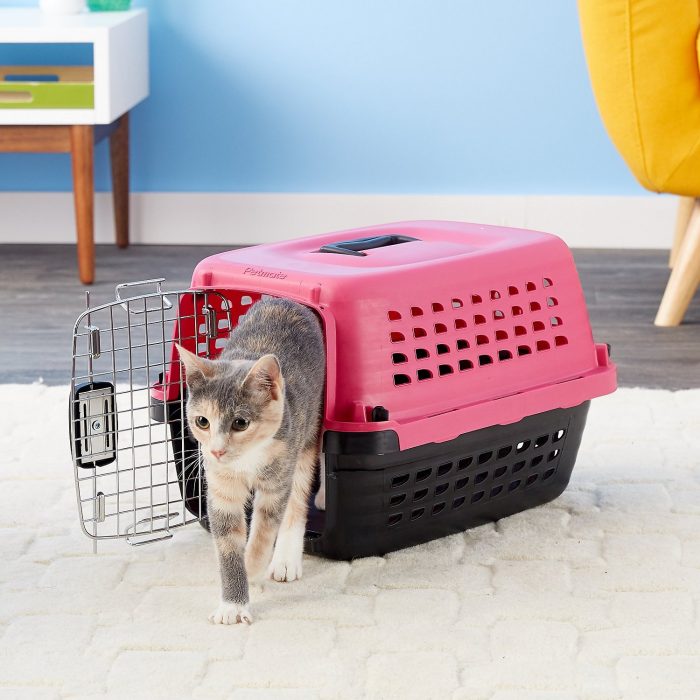 Compass Fashion Dog & Cat Kennel