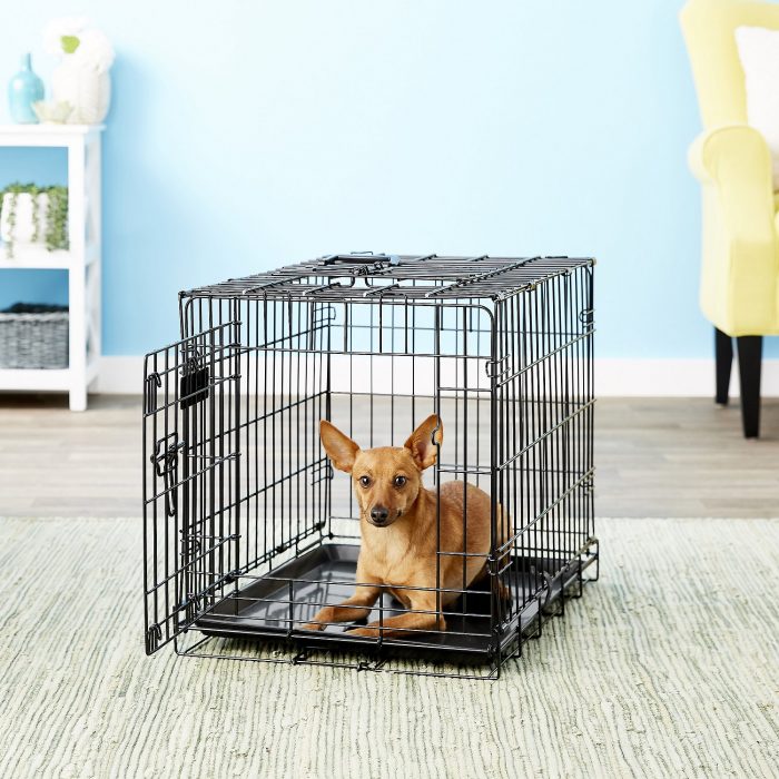 Great Crate Double Door Collapsible Wire Dog Crate