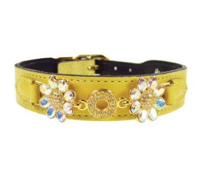 Hartman and Rose Dog Collar Daisy Canary Yellow