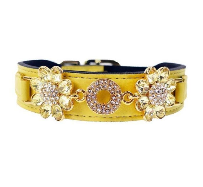 Hartman and Rose Dog Collar Daisy Canary Yellow with Jonquil cristals