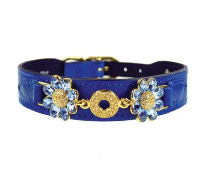 Hartman and Rose Dog Collar Daisy Cobalt Blue