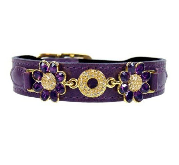 Hartman and Rose Dog Collar Daisy Papal Purple