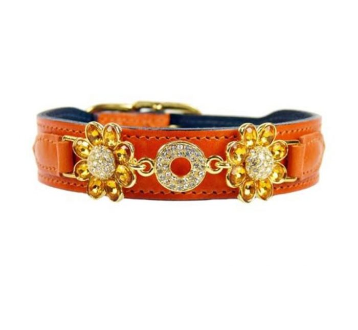 Hartman and Rose Dog Collar Daisy Tangeriney